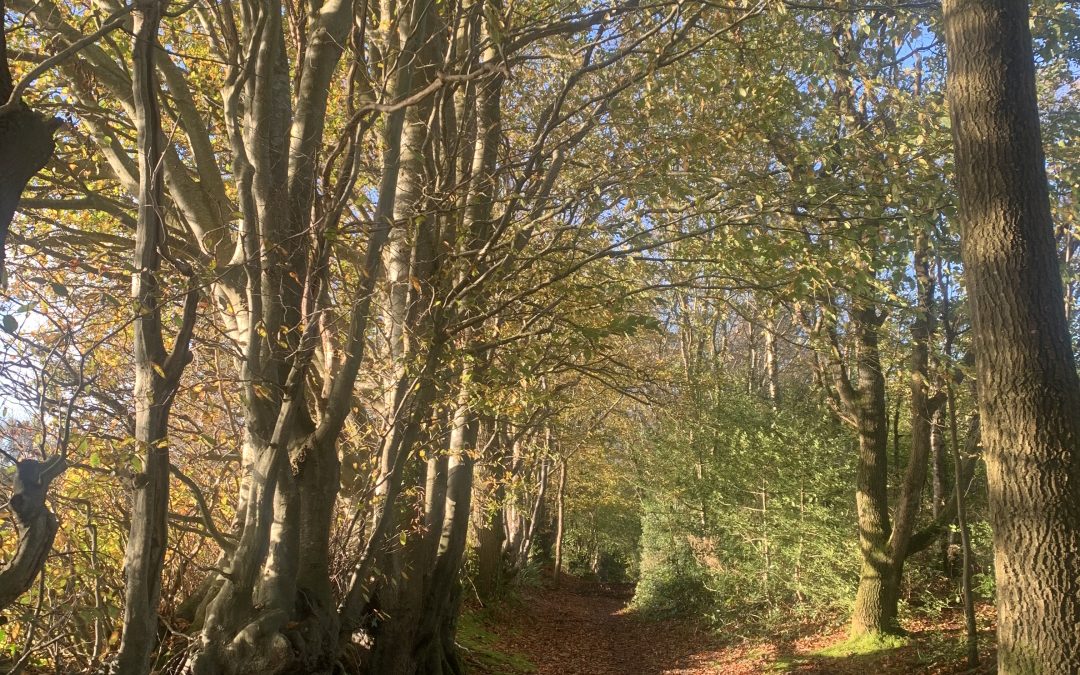Embracing Autumn
