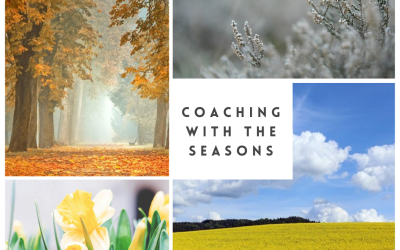 Reconnecting to What’s Always Been There & Midlife Awakening