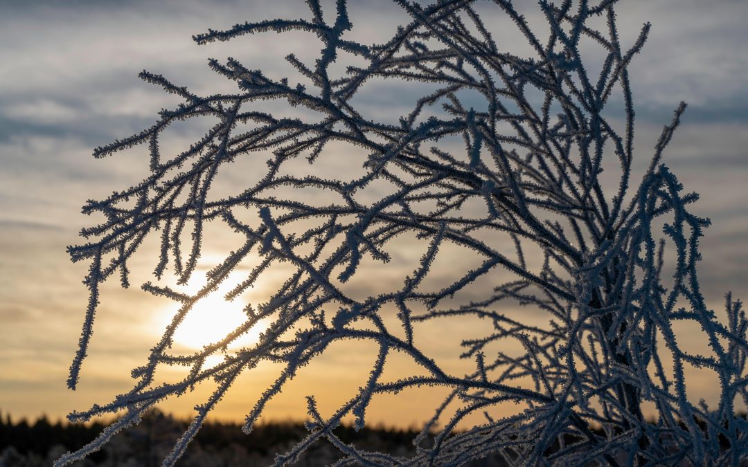 The Winter Solstice