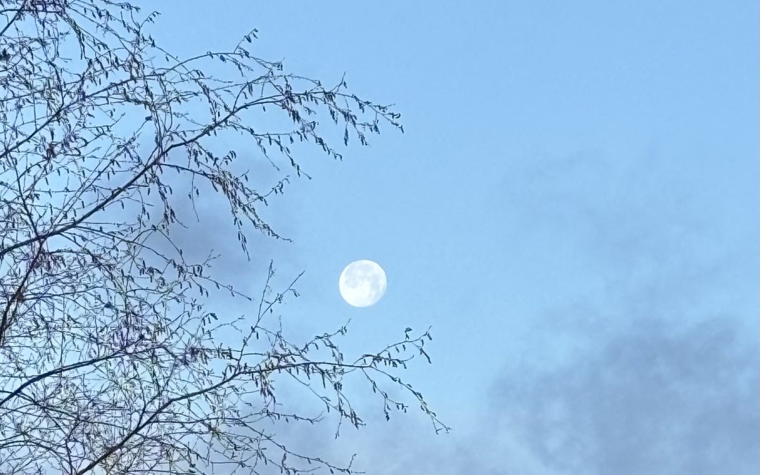 Full Moon Ritual – 3rd Jan – Cancer Full Moon